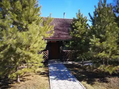 Подгородный - 43