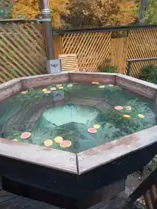 Баглачевские дачи - 10