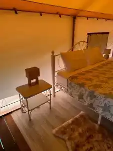Звезда - 44
