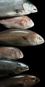 Jw Marriott Beijing - 54