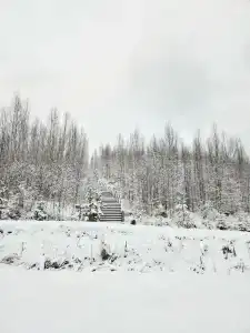 Соромяки - 24