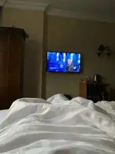 Ottoman Elegance - 26