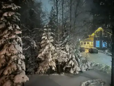 Novozhilovo Park - 17