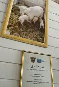 Александровский спас - 44