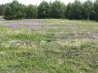 Байкальский берег - 24