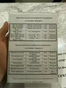 Фаворит - 31