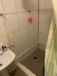 Лилия 3 - 38