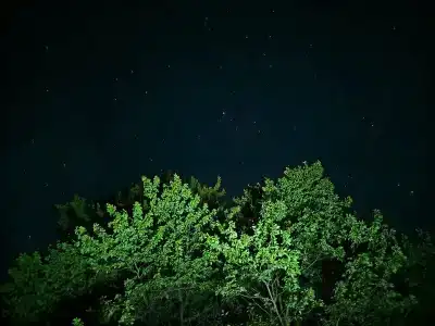 Гостевой дом на Первой - 39