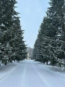 Новый ковчег - 28
