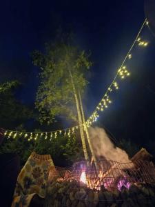 Indom - 18