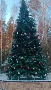 Жемчужина Золотого кольца - 43