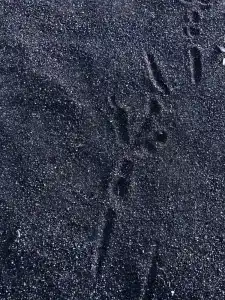 Simple Pleasures - 39