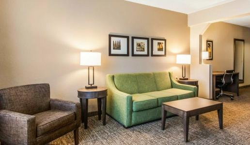 Comfort Suites Maingate East - 34