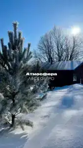 Лес & Озеро - 32