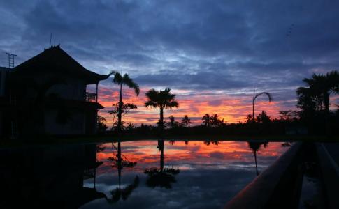 B Saya Villas - 17