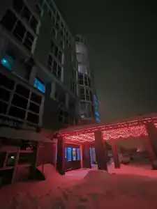 Пантера - 39