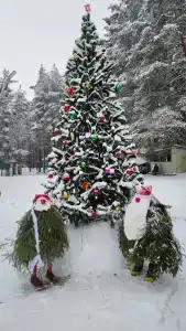 Волга - 10