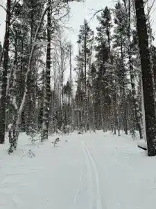 Градуевское - 22