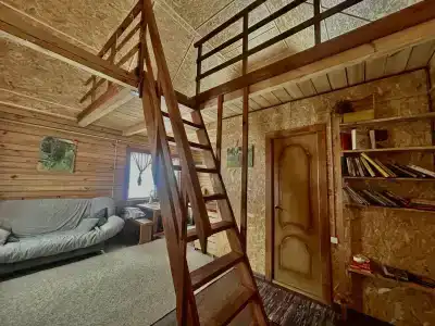 Стрекоза - 4