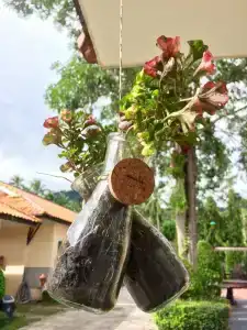 At Lamai Resort - 18