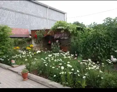 Талисман - 11