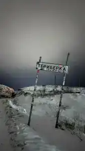 Cedar Grass Териберка - 91