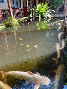 Botany Beach Resort - 32