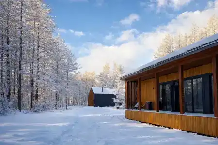 В лесу как дома - 2