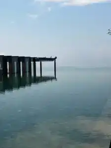 Renaissance Pattaya Resort & Spa - Sha Extra Plus - 19