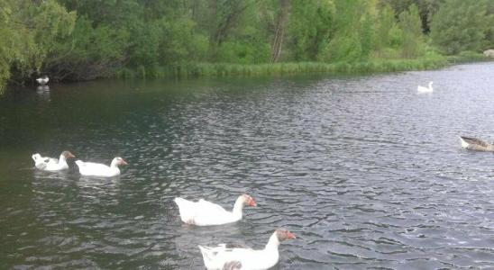 Jermuk Verona Resort - 20