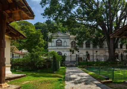 Sweet Cinnamon Kandy - 8