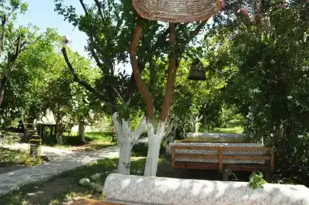 San Simon - 27