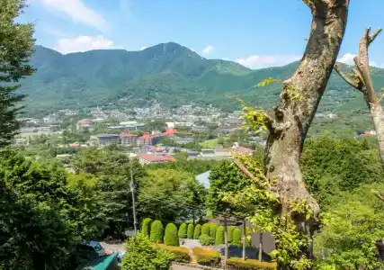 Livemax Resort Hakone-Sengokuhara - 29