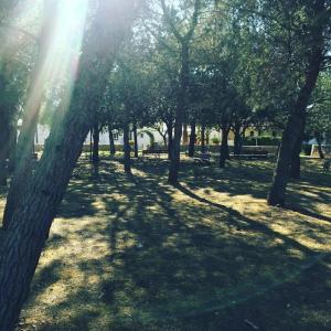 Masseria Gravelle - 38