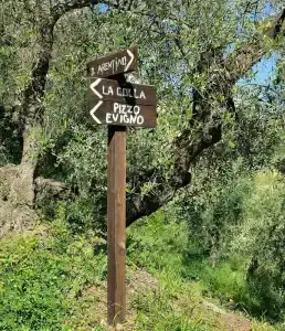 Grand Diana Majestic - 24