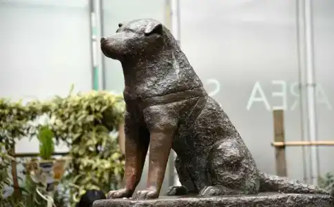 Keio Presso Inn Shinjuku - 7