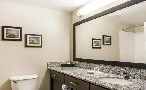 Comfort Suites Maingate East - 36