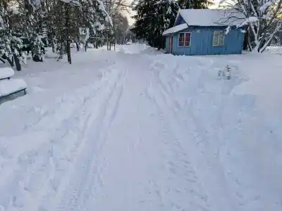 Берёзка - 2