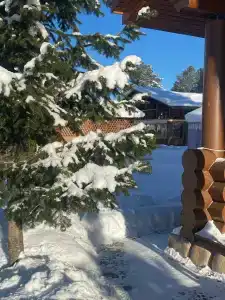Место на Алтае - 15