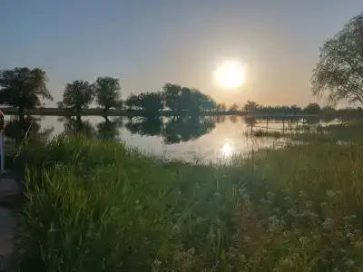 Донгар - 43