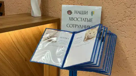 Пансионат Юпитер - 14