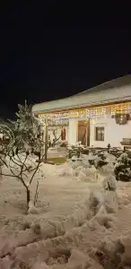 Станъ - 4