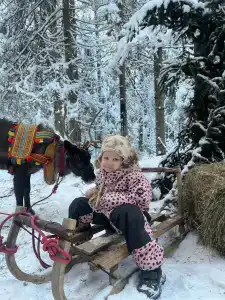 Северный олень - 41