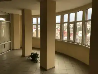 Фиеста - 44