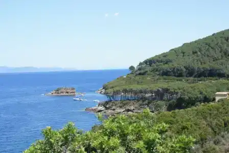 Pfa - Isola d'Elba - 16