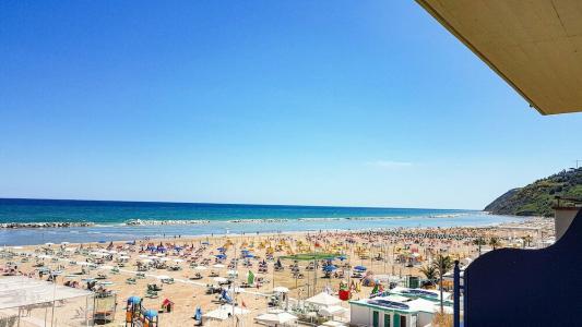 Cavalluccio Marino - 38