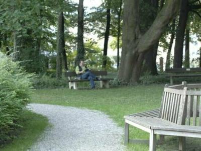 am alten Park - 7