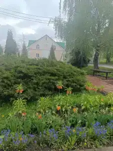 Куликово поле - 40