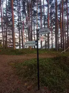 Бесов нос. у Антона - 13