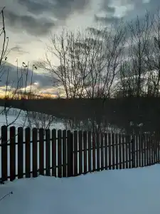 Энергия Дерева - 29